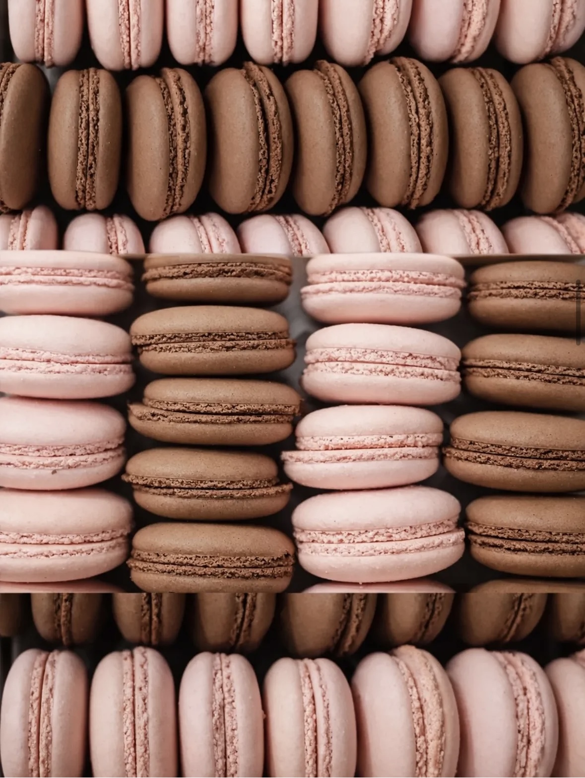 Macarons rosa y chocolate